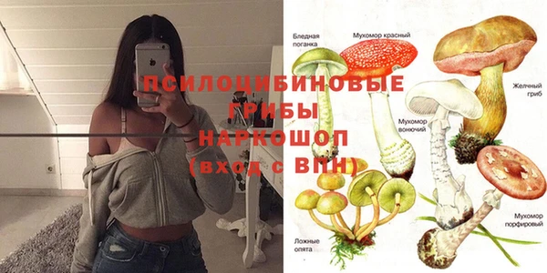 ECSTASY Богородск