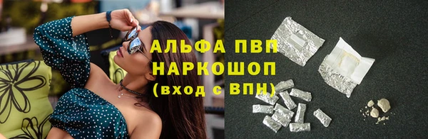 ECSTASY Богородск